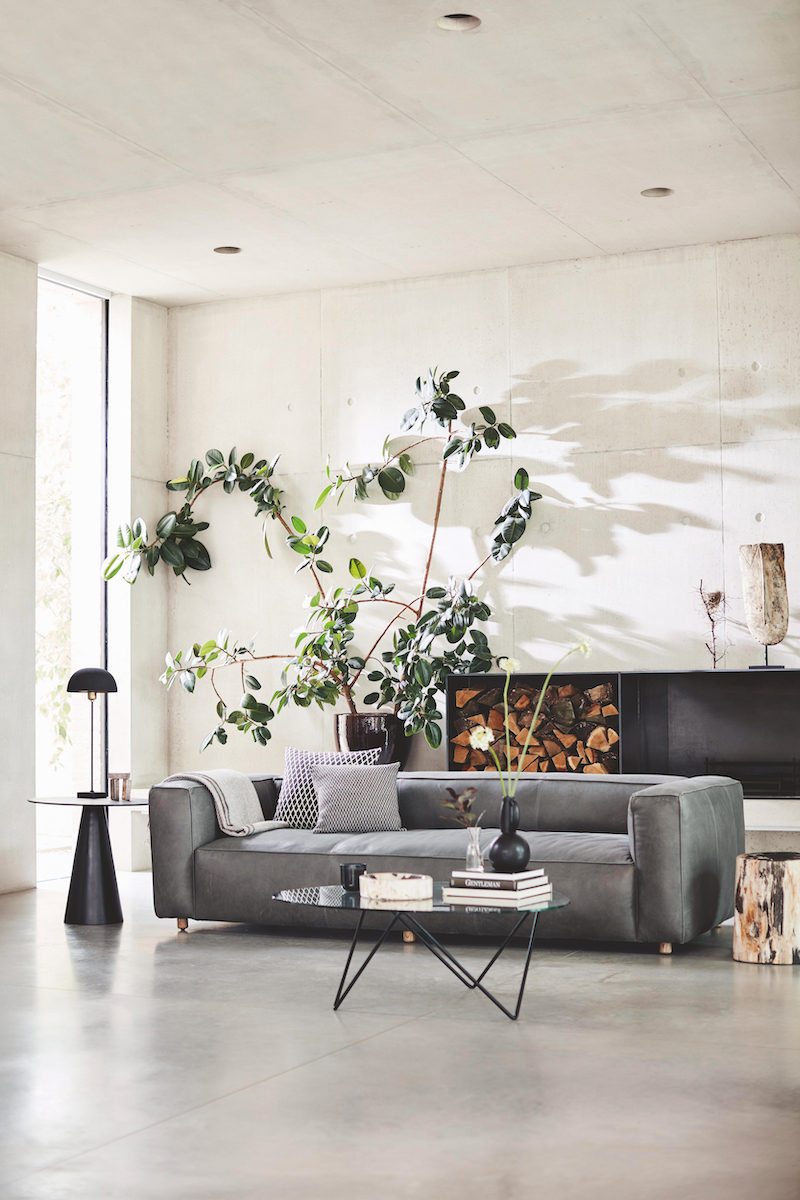 Moderná obývačka so sivým gaučom a rastlinou