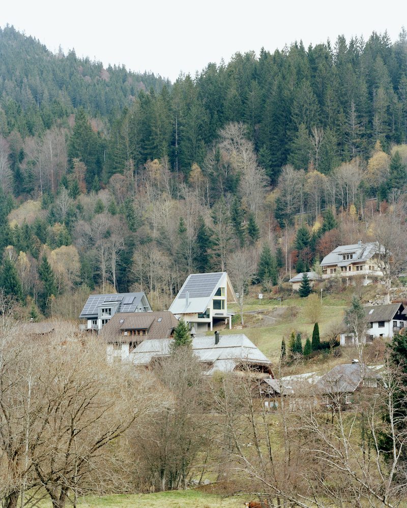 Vidiecky moderný drevený dom so zeleným interiérom
