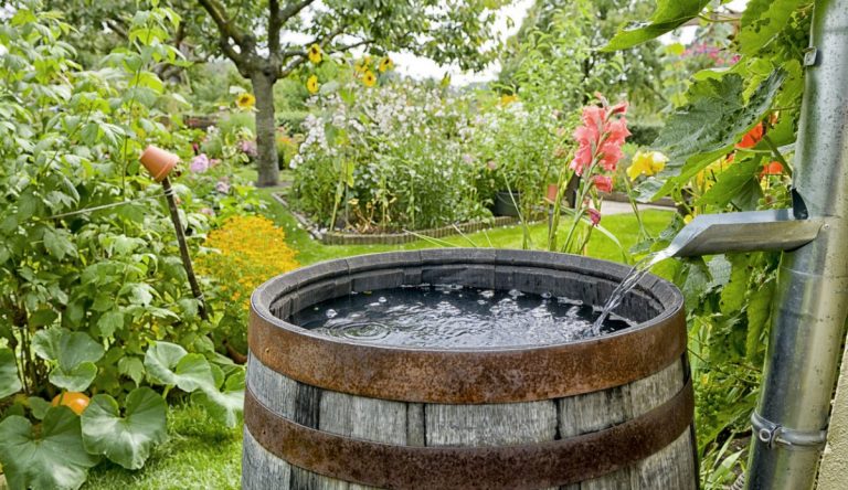 Ako udržať vodu v záhrade aj počas striedajúcich sa období sucha a prívalových dažďov