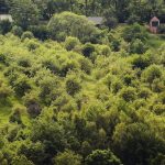 Tri domčeky uprostred sadov na Šumave s krásnym výhľadom