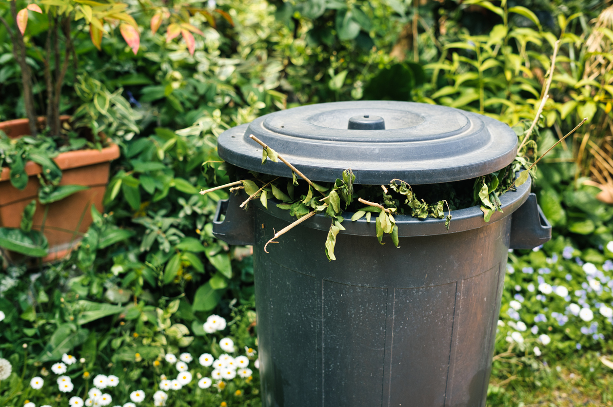 Full greenery bin in a garden.