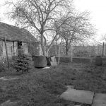Pôvodný stav záhrady - Rodinný dom Pod orechom vo Veľkých Úľanoch
