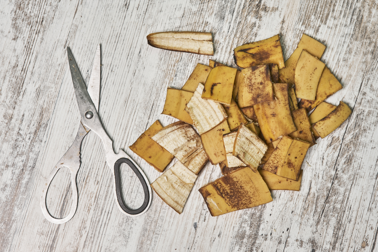 Banana peel fertilizer cut banana peels into… Môjdom.sk