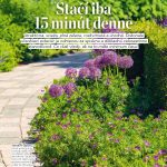 detail chodníka v záhrade lemovaný fialovými kvetmi, stránka z časopisu