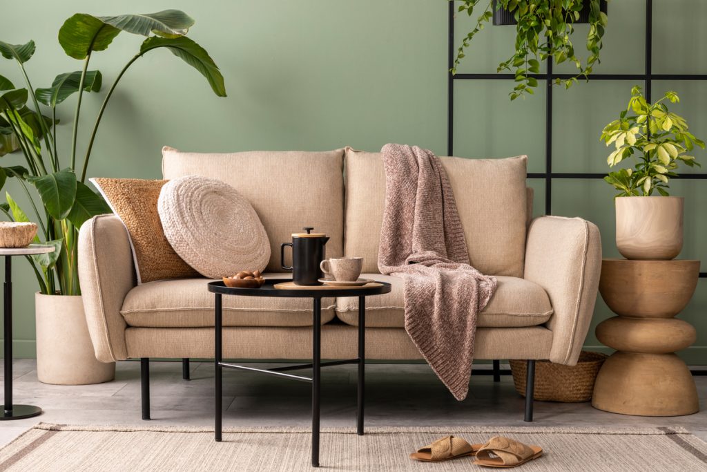 The stylish composition at living room interior with design beige sofa, black coffee table, plants and elegant personal accessories. Brown pillow and plaid. Green wall. Template.