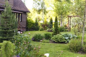 rustikálny drevený dom so záhradou, hosta