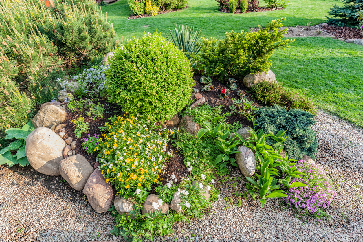 Landscaped summer garden with green plants, rocks, flowers in flowerbeds, mown grass.