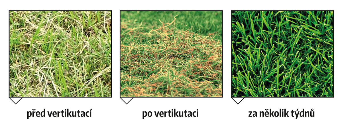Priebeh vertikutácie