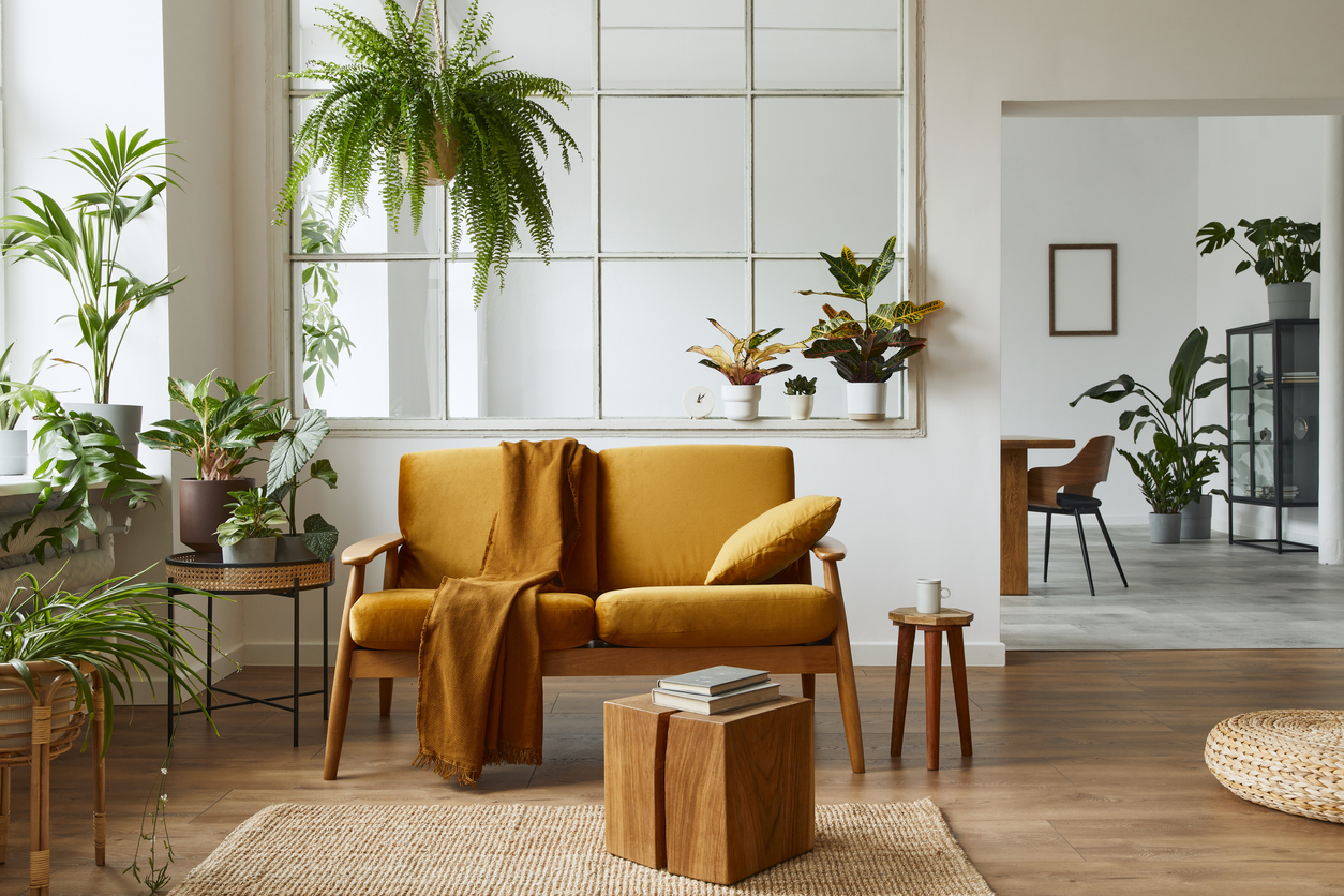 retro pohovka v obývačke s rastlinami