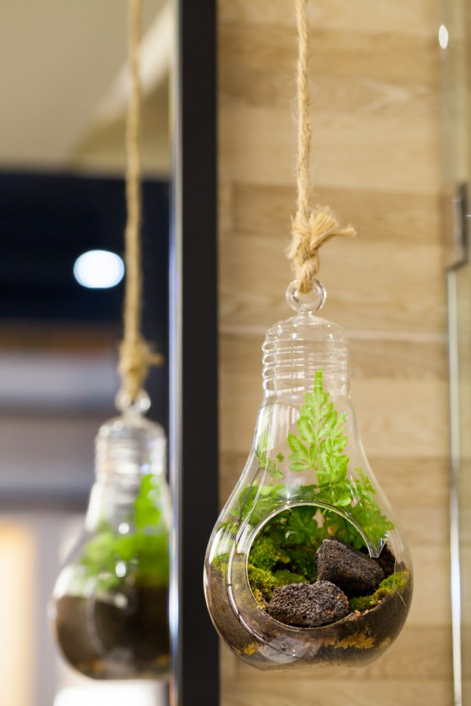 Small garden of terrarium bottle in glass hanging.