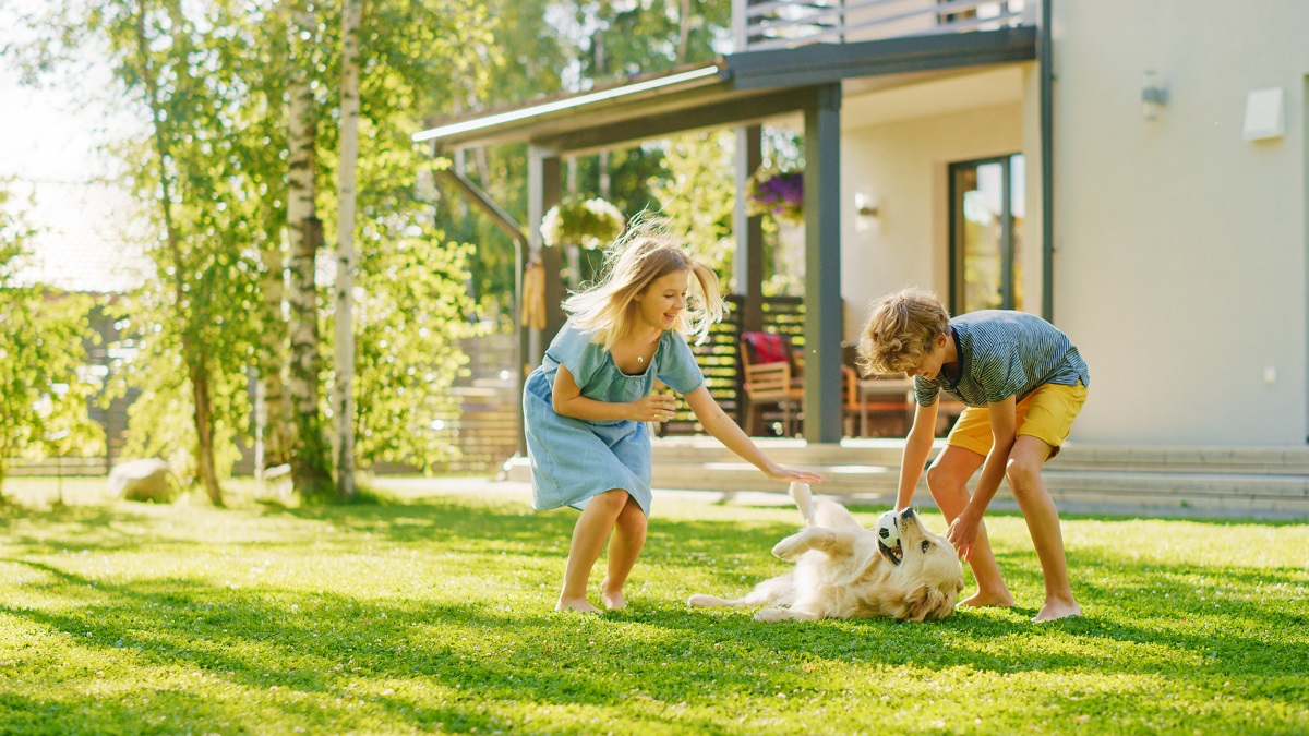 dve deti so psom na trávniku