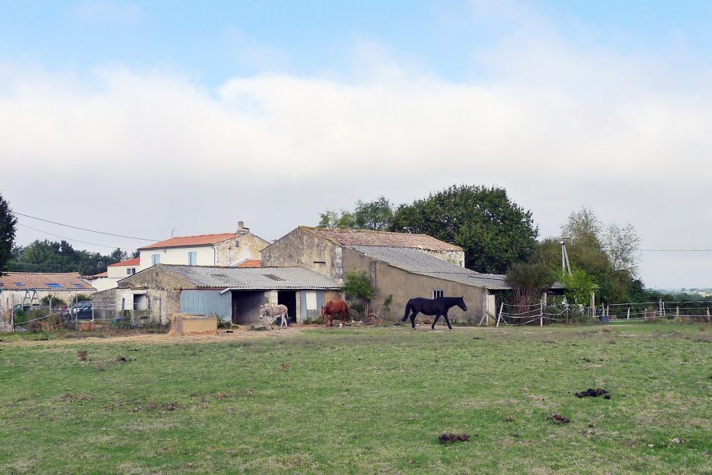 stará farma vo Francúzsku