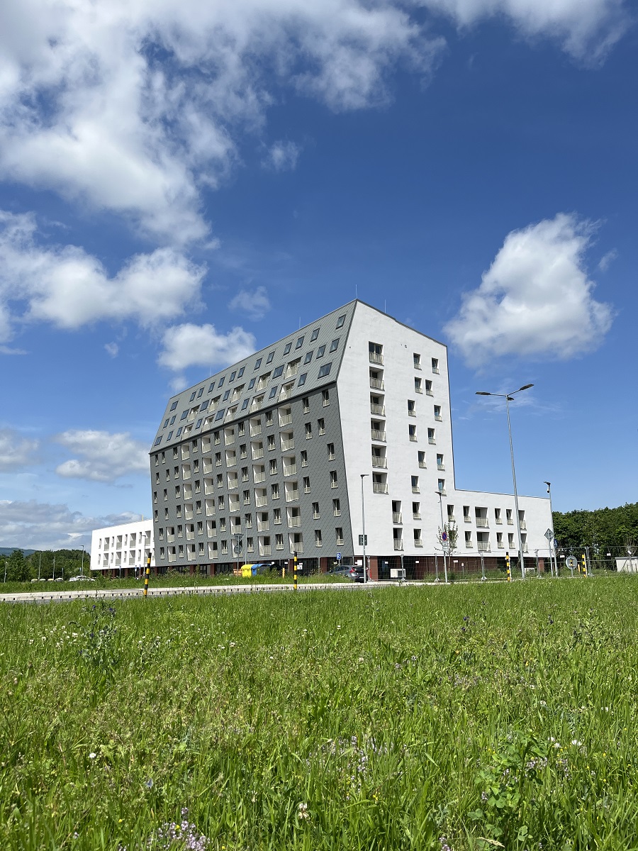 Projekt Moruše