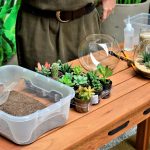 predmety a rastliny na výrobu rastlinného terária