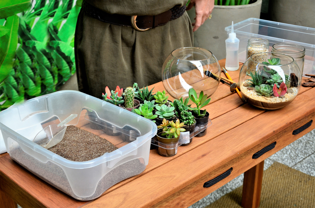 predmety a rastliny na výrobu rastlinného terária