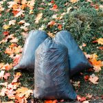 Garbage bags on the autumn lawn. Cleaning fallen leaves in the park.