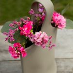 Malá váza s dvomi druhmi muškátov a odrodou statice