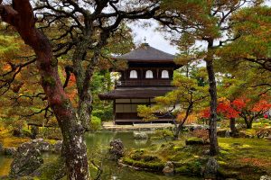 Na potulkách japonskými záhradami
