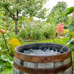 Zachytávanie dažďovej vody v záhradnom sude