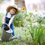 Ako šetriť vodou v záhrade