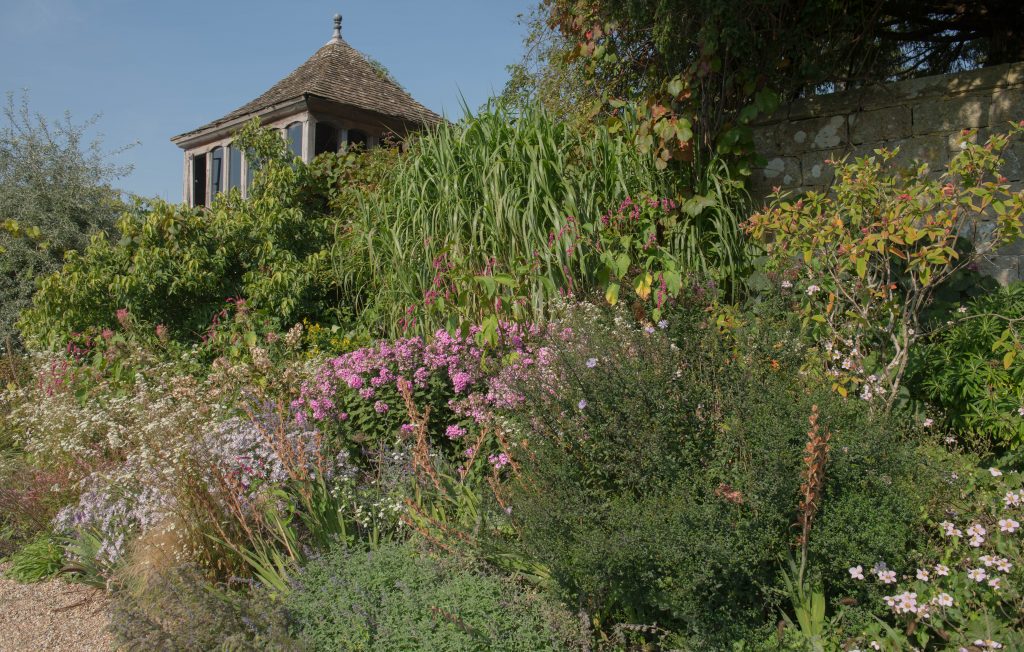 Late,Summer,Herbaceous,Border,With,Pink,Phlox,And,Ornamental,Grasses