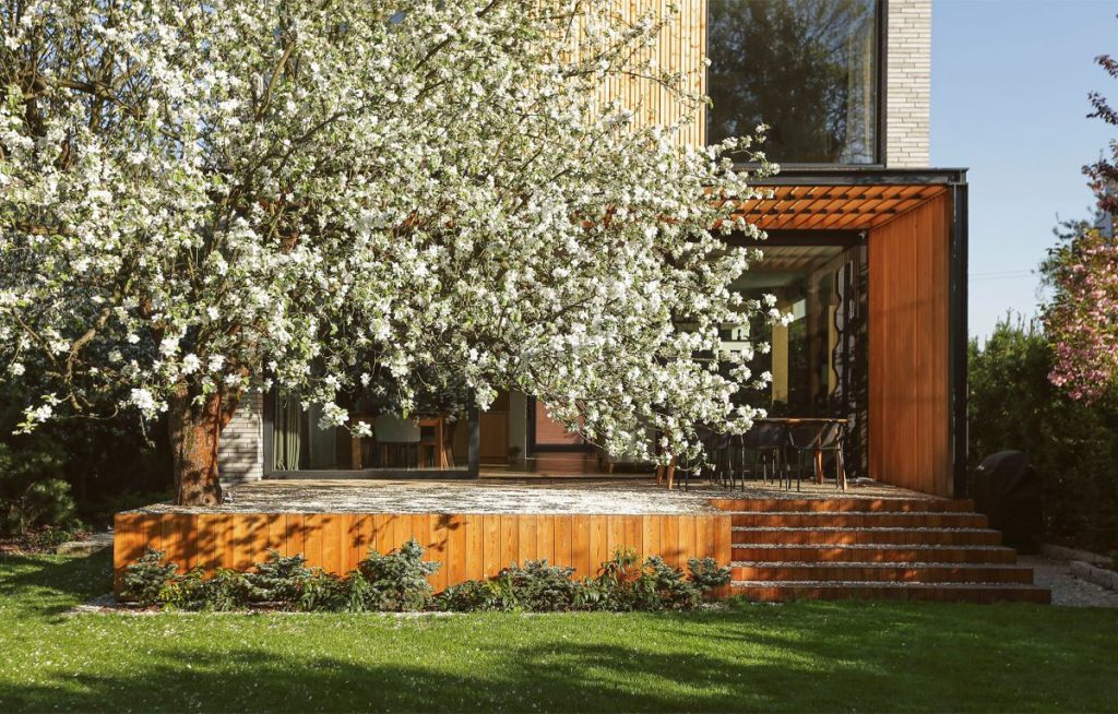 Drevená terasa domu, ktorej súčasťou je zakvitnutá jabloň.