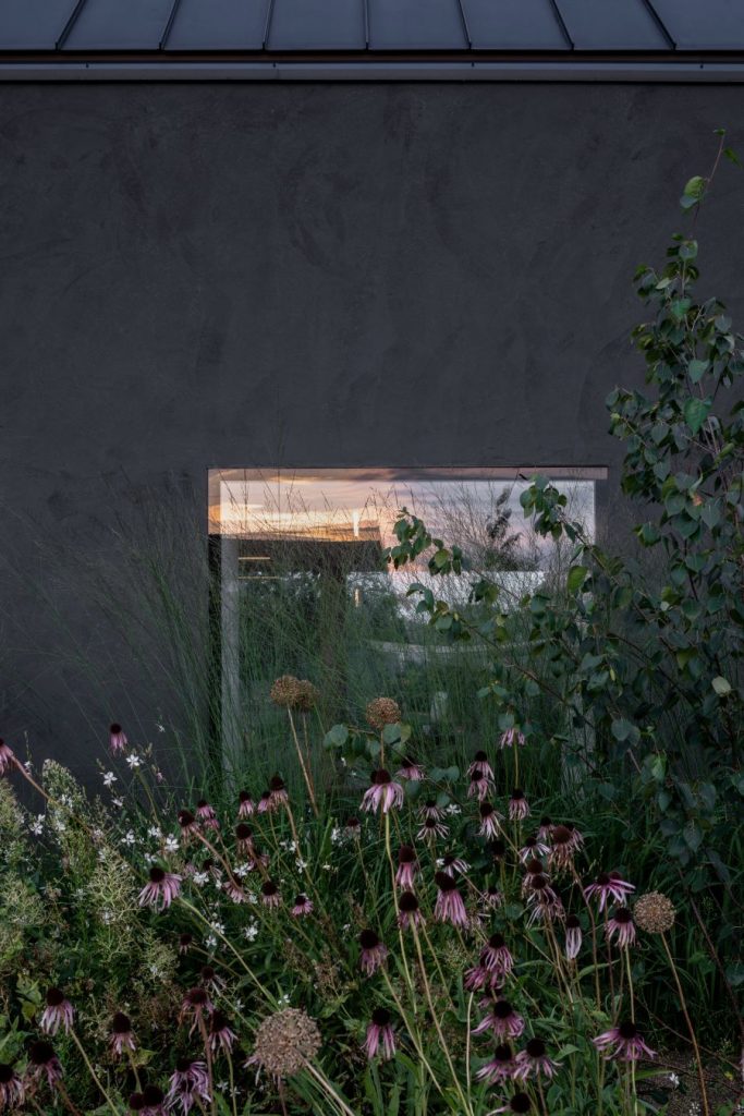 Detail na okno obklopené čiernou fasádou, ktoré čiastočne zacláňajú vysadené kvety v záhone.