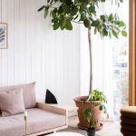 Roh obývačky so svetlou sedačkou interiérovými rastlinami, nízkym stolíkom a taburetkou.