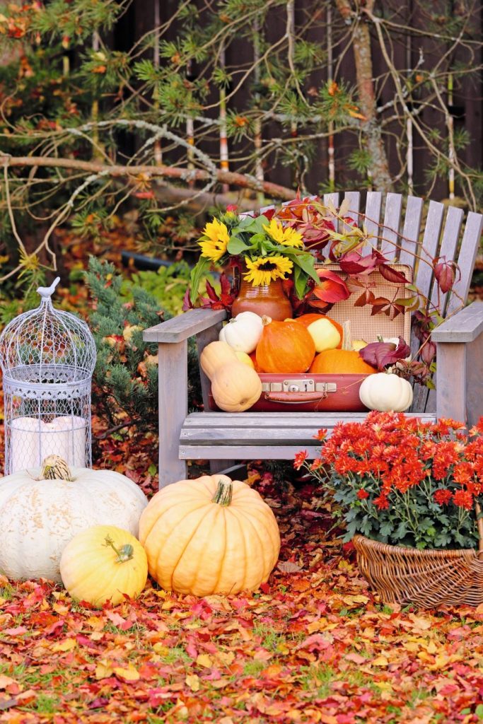 Drevená záhradná stolička obklopená tekvicami, lístím a jesennými kvetmi.