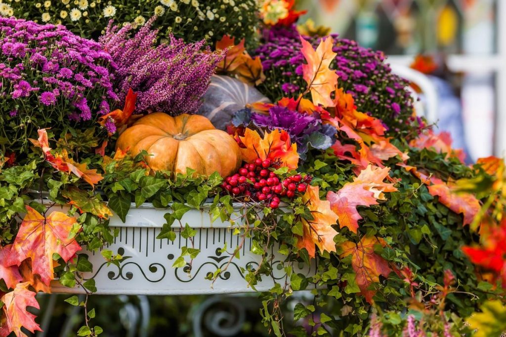 Kvetinová dekorácia v jesenných farbách s tekvicou uprostred.