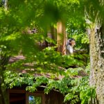 Obyvateľka stromového domčeka si užíva prírodu z okna chatky.