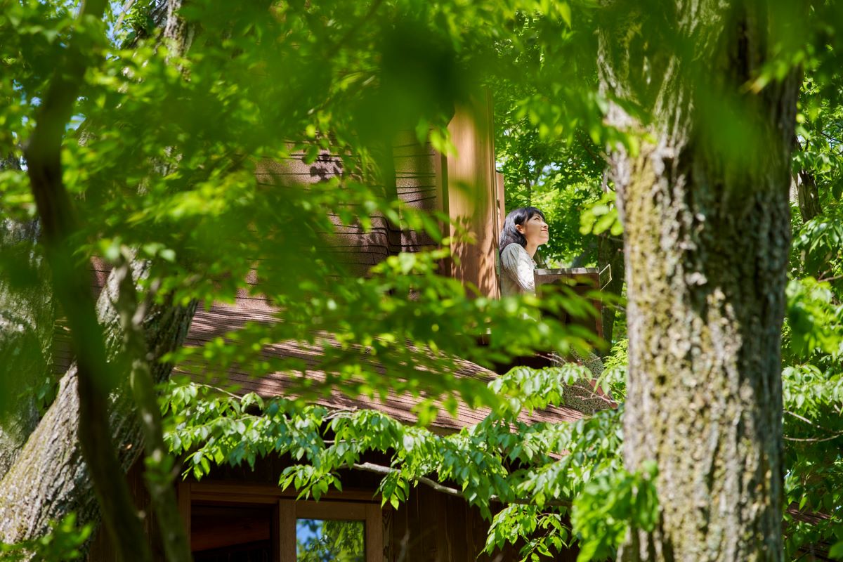 Obyvateľka stromového domčeka si užíva prírodu z okna chatky.