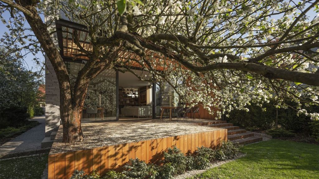 Drevená terasa Jablkového domu, ktorej súčasťou je aj jabloň v plnom kvete.