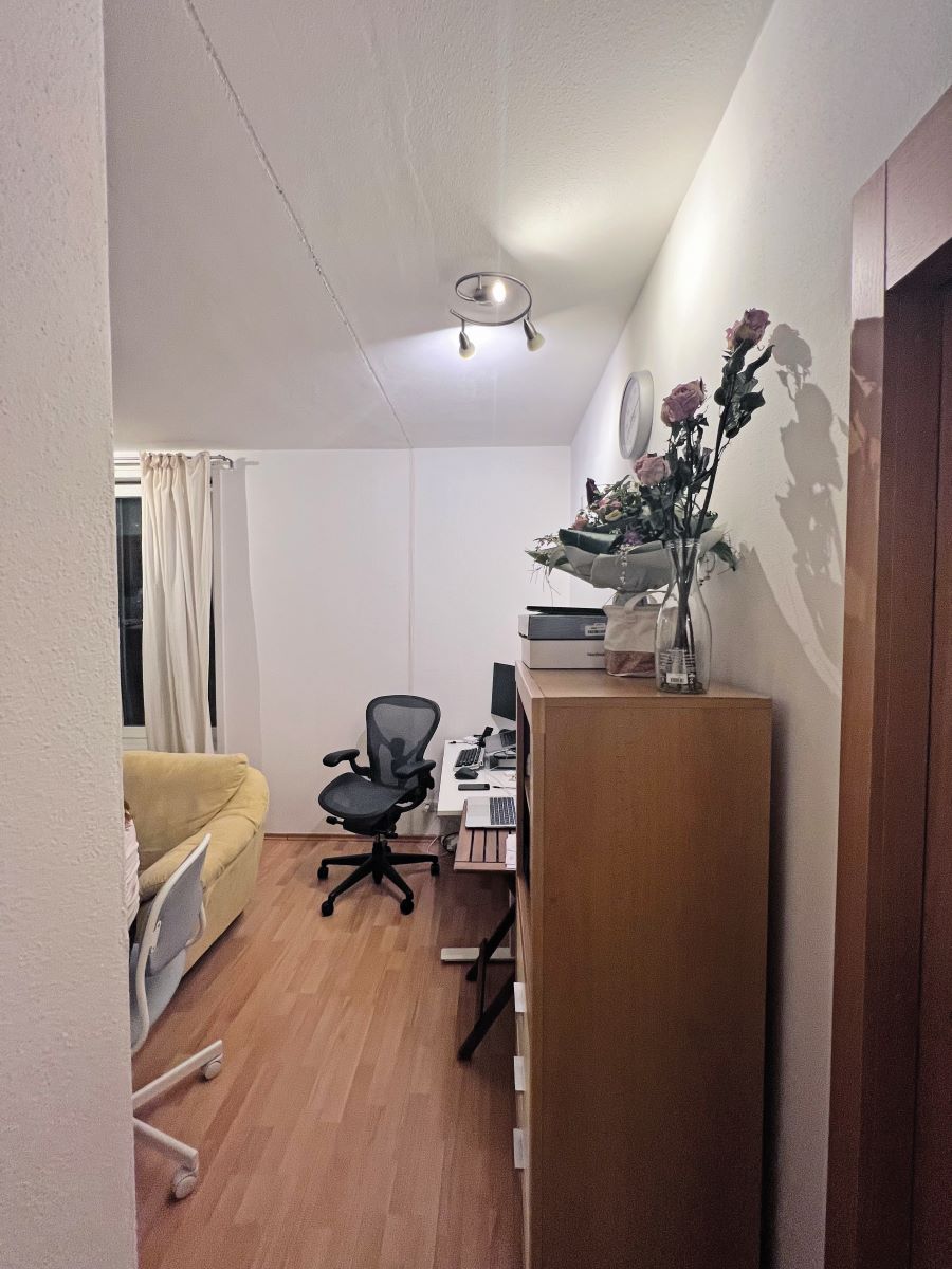 Vstup do dennej zóny pred premenou.