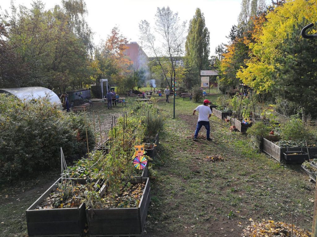 Jesenné práce v komunitnej záhrade.