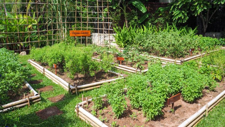 Organická záhrada z vyvýšenými záhonmi.