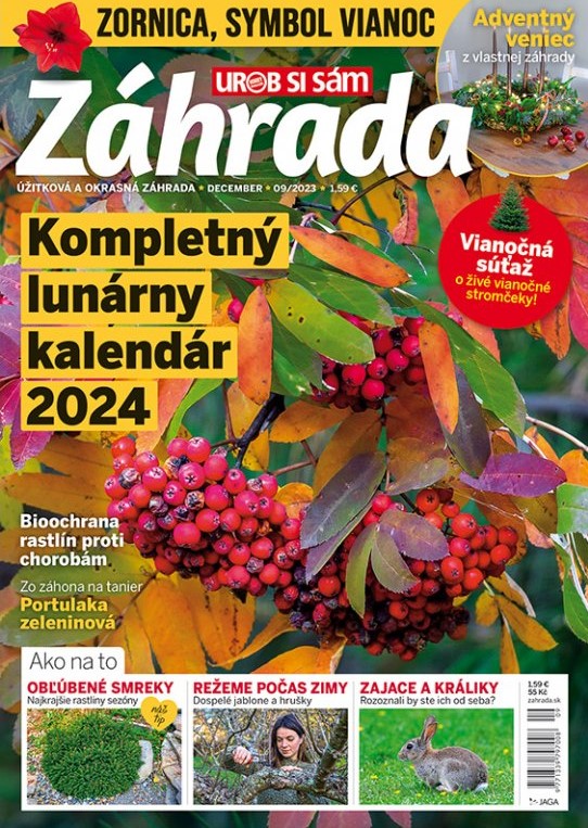Záhrada 9/2023