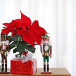 Vianočná ruža na stole so zabaleným darom a postavami z Luskáčika.