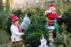 Dve deti vo vianočnom oblečení pri výbere vianočného stromčeka.