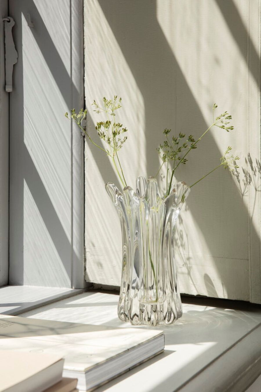 Masívna sklenená váza Holo s rastlinami pri okne.