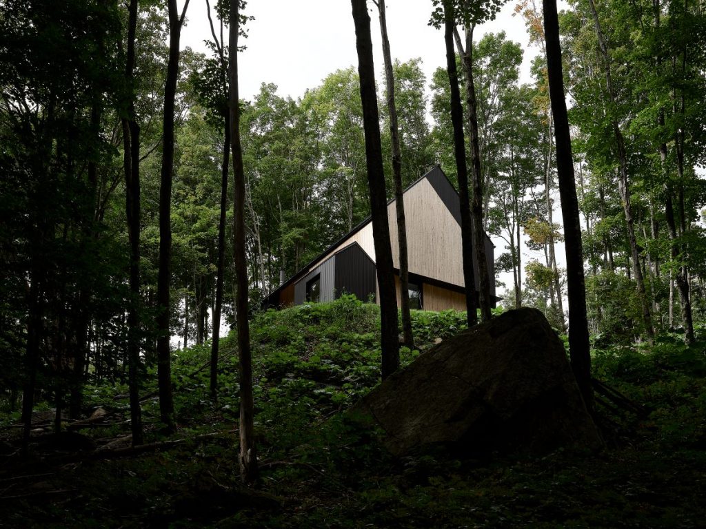 Pohľad na chatu Tissaraouata na kopci v lese.
