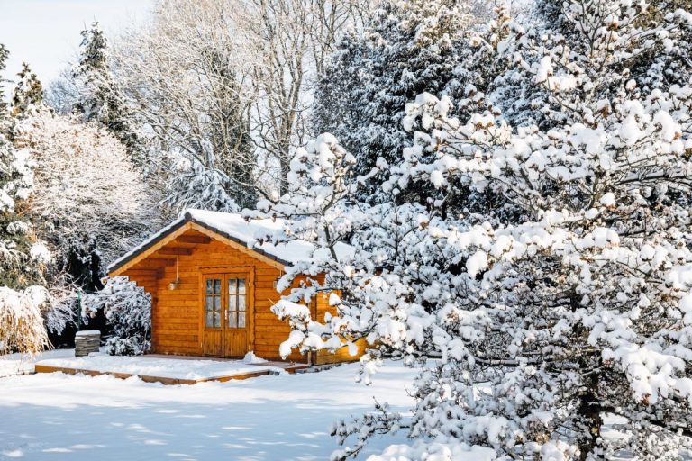 Záhrada so záhradným domčekom a stromami v zime pod snehom.