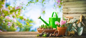 Záhradné náradie, s ktorým sa s radosťou vrhnete do jarných prác!