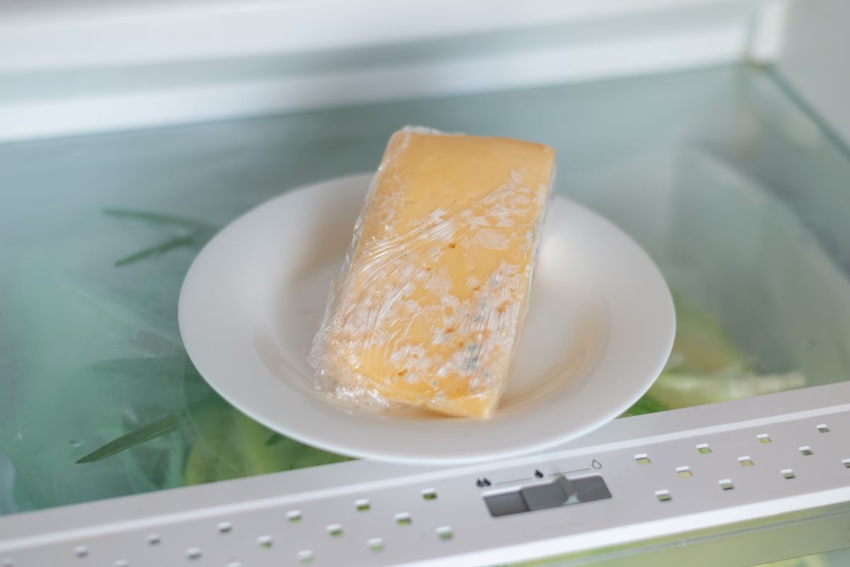 Detail na splesnetý syr na tanieri v chladničke.