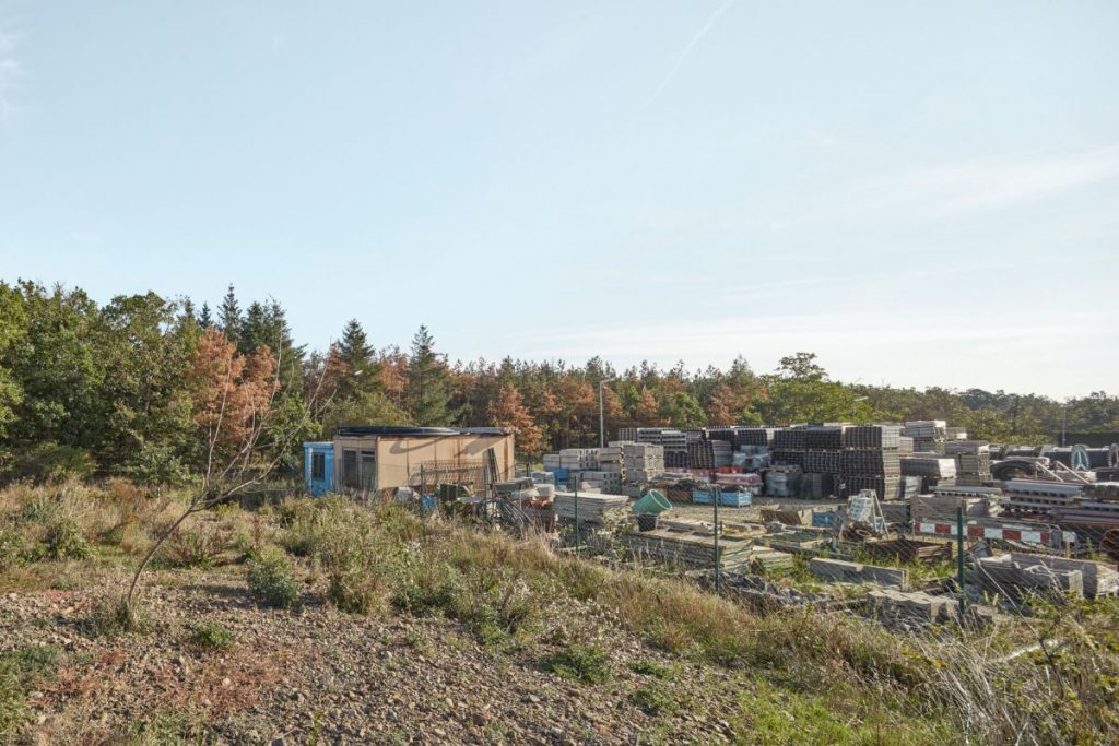 Záber na stromy a okolie bungalove v Dobříši.