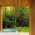 Pohľad zo sauny na otužovaciu kaďu a okolité stromy.