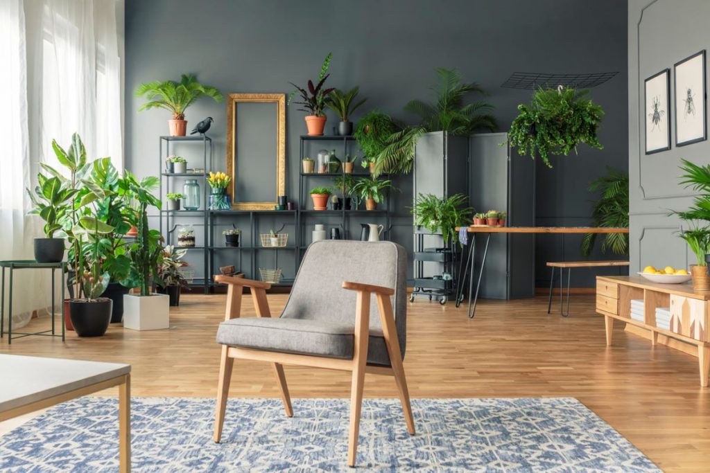 Pohľad do interiéru s kovovými policami a stolčekmi s rastlinami.