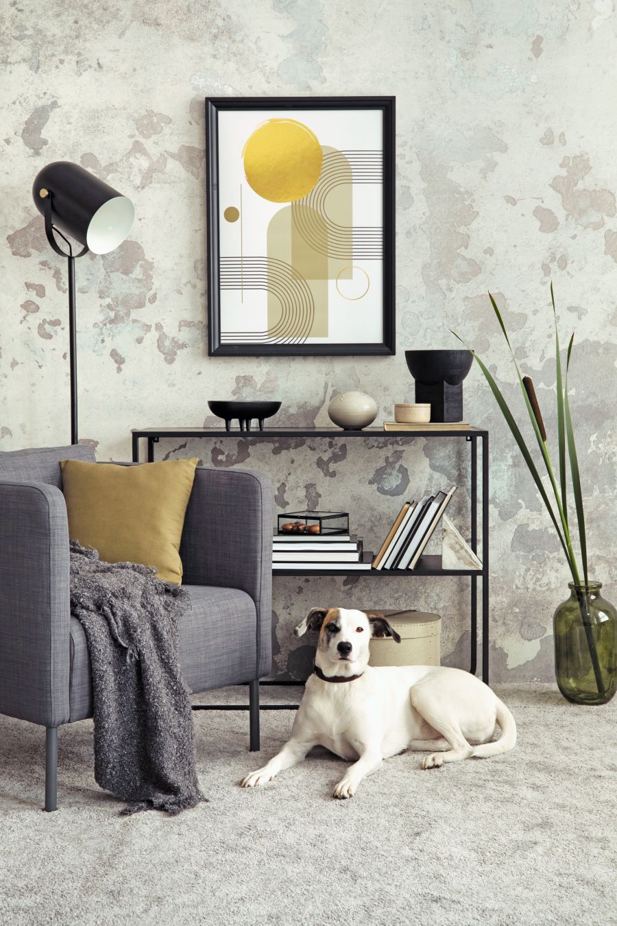Shutterstock Časť interiéru s policou, kreslom a psom na podlahe.