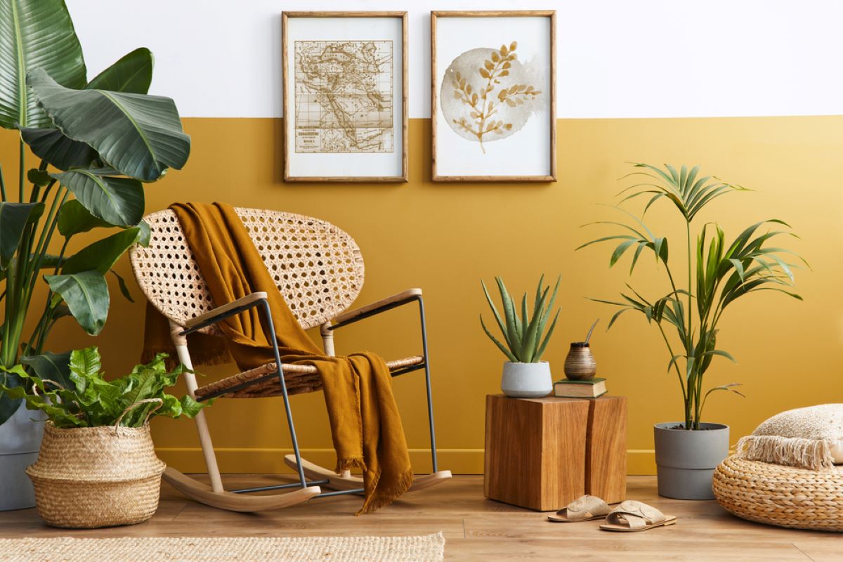 Interiér s izbovými rastlinami, ratanovou stoličkou a doplnkami.