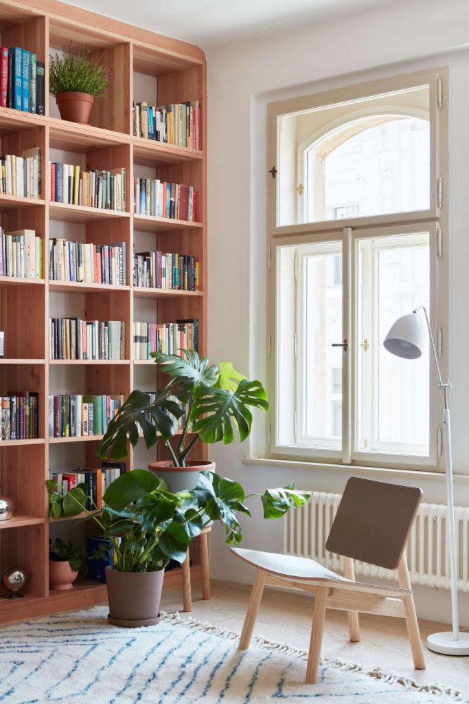 Časť knižnice v obývačke s rastlinami.